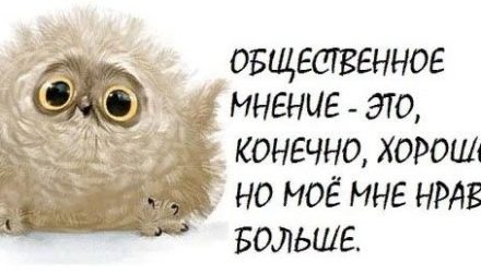 Как часто мы идем на поводу у общества… (о влиянии общественного мнения)